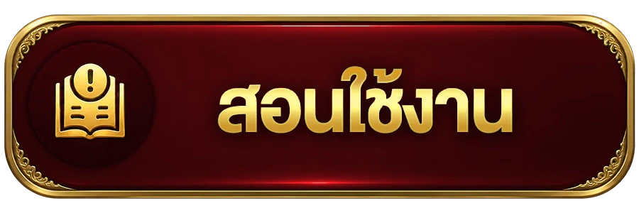 วิธีใช้งาน